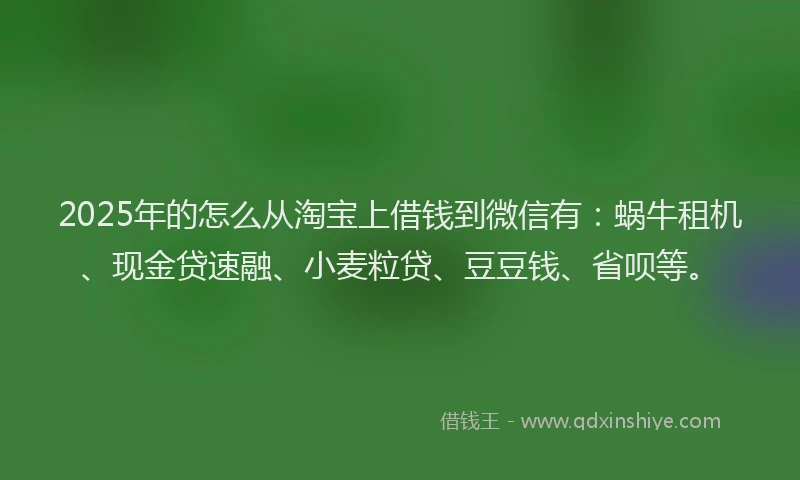 2025年的怎么从淘宝上借钱到微信有：蜗牛租机、现金贷速融、小麦粒贷、豆豆钱、省呗等。