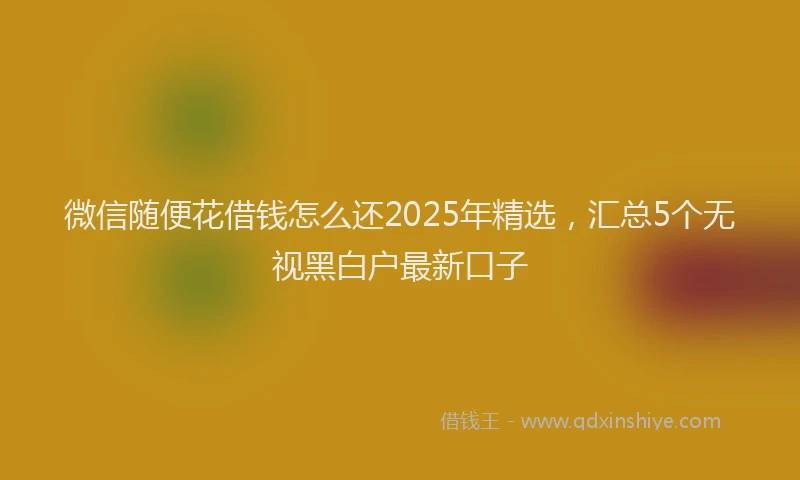 微信随便花借钱怎么还2025年精选，汇总5个无视黑白户最新口子