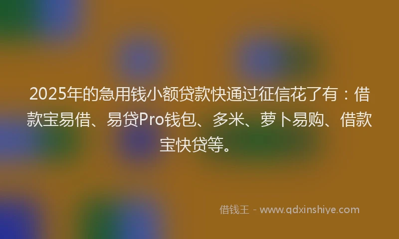 2025年的急用钱小额贷款快通过征信花了有：借款宝易借、易贷Pro钱包、多米、萝卜易购、借款宝快贷等。