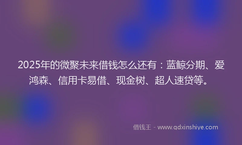 2025年的微聚未来借钱怎么还有：蓝鲸分期、爱鸿森、信用卡易借、现金树、超人速贷等。