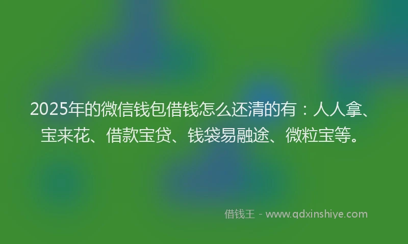 2025年的微信钱包借钱怎么还清的有：人人拿、宝来花、借款宝贷、钱袋易融途、微粒宝等。