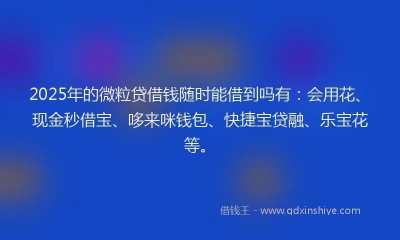 2025年的微粒贷借钱随时能借到吗有：会用花、现金秒借宝、哆来咪钱包、快捷宝贷融、乐宝花等。