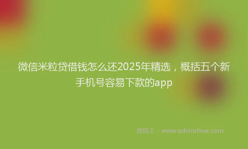 微信米粒贷借钱怎么还2025年精选，概括五个新手机号容易下款的app