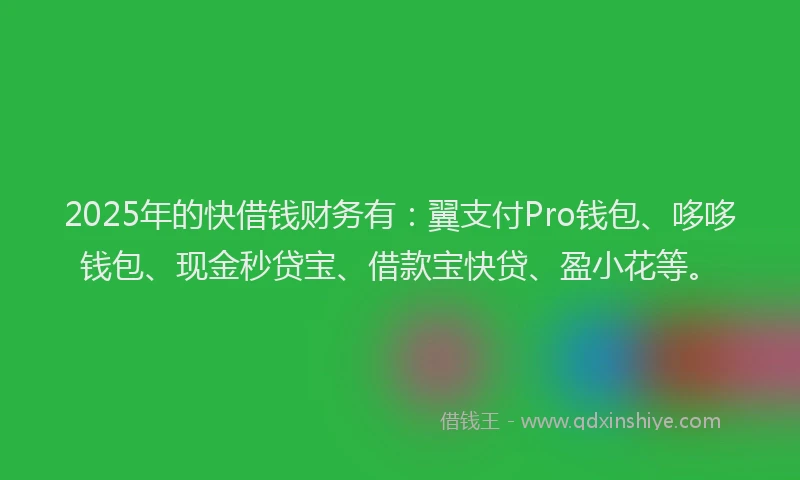 2025年的快借钱财务有：翼支付Pro钱包、哆哆钱包、现金秒贷宝、借款宝快贷、盈小花等。
