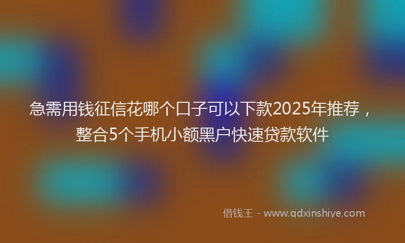 急需用钱征信花哪个口子可以下款2025年推荐，整合5个手机小额黑户快速贷款软件
