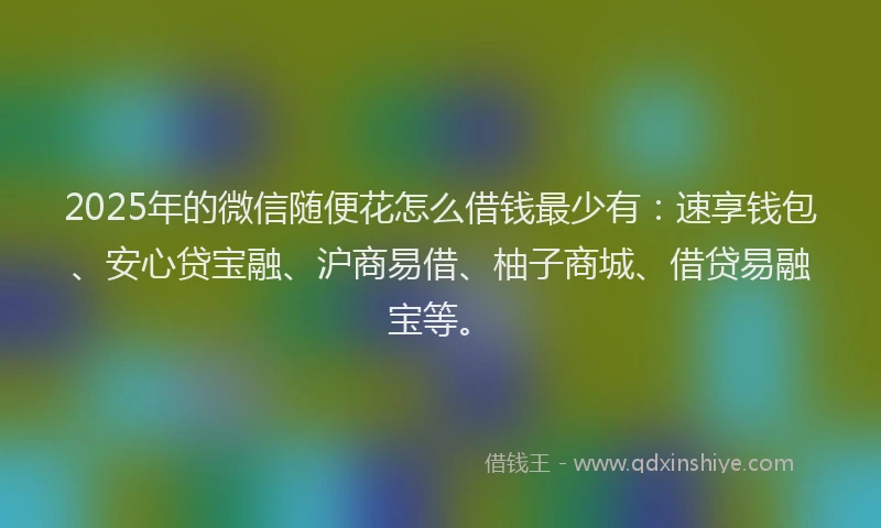 2025年的微信随便花怎么借钱最少有：速享钱包、安心贷宝融、沪商易借、柚子商城、借贷易融宝等。
