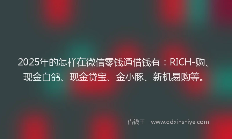 2025年的怎样在微信零钱通借钱有：RICH-购、现金白鸽、现金贷宝、金小豚、新机易购等。