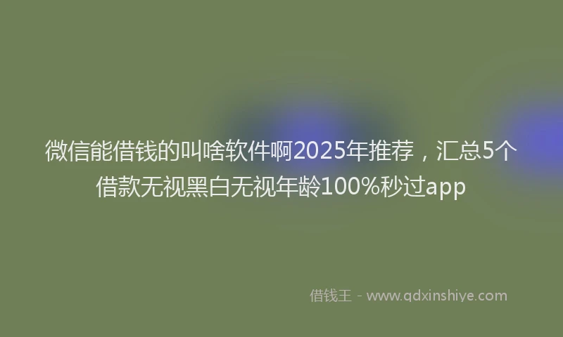 微信能借钱的叫啥软件啊2025年推荐，汇总5个借款无视黑白无视年龄100%秒过app