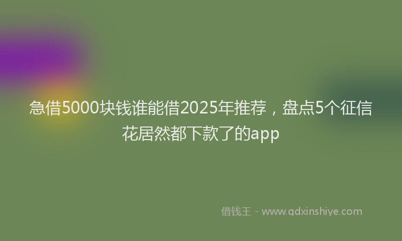 急借5000块钱谁能借2025年推荐，盘点5个征信花居然都下款了的app