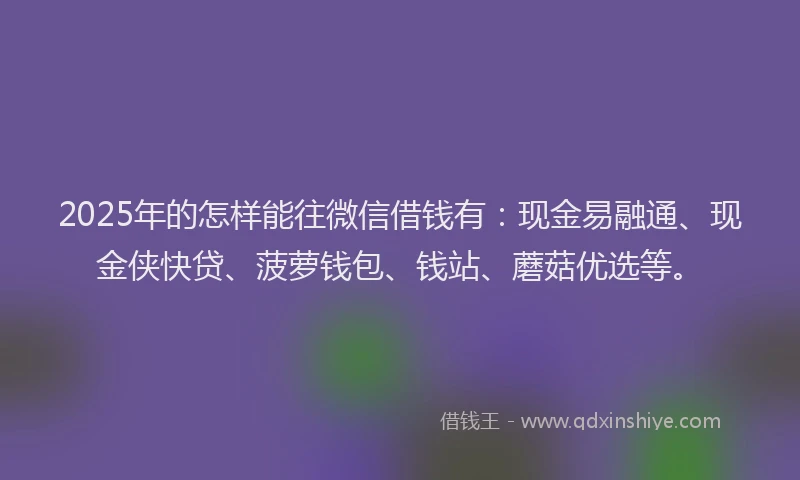 2025年的怎样能往微信借钱有：现金易融通、现金侠快贷、菠萝钱包、钱站、蘑菇优选等。