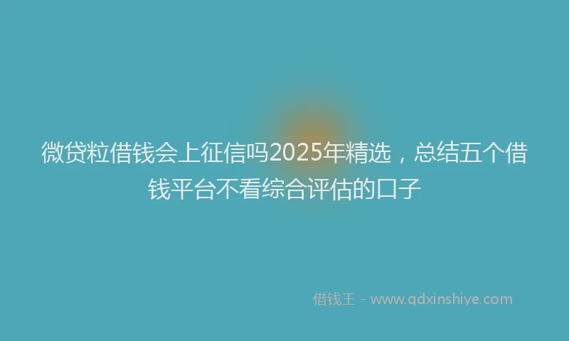 微贷粒借钱会上征信吗2025年精选，总结五个借钱平台不看综合评估的口子