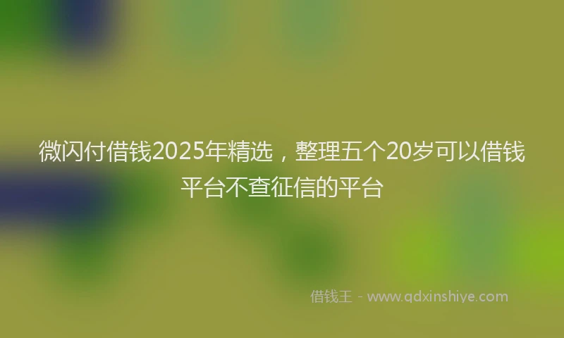 微闪付借钱2025年精选，整理五个20岁可以借钱平台不查征信的平台