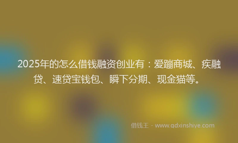 2025年的怎么借钱融资创业有：爱蹦商城、疾融贷、速贷宝钱包、瞬下分期、现金猫等。