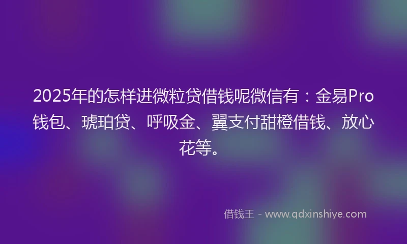 2025年的怎样进微粒贷借钱呢微信有：金易Pro钱包、琥珀贷、呼吸金、翼支付甜橙借钱、放心花等。