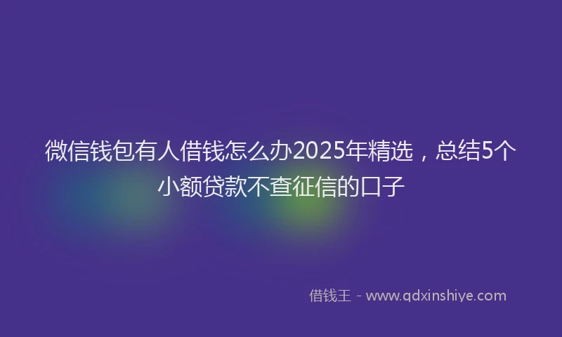 微信钱包有人借钱怎么办2025年精选，总结5个小额贷款不查征信的口子