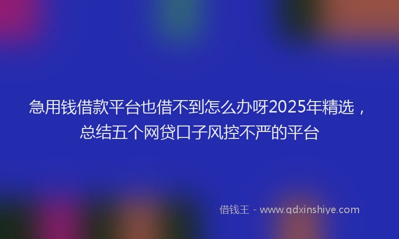 急用钱借款平台也借不到怎么办呀2025年精选，总结五个网贷口子风控不严的平台