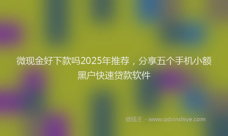 微现金好下款吗2025年推荐，分享五个手机小额黑户快速贷款软件