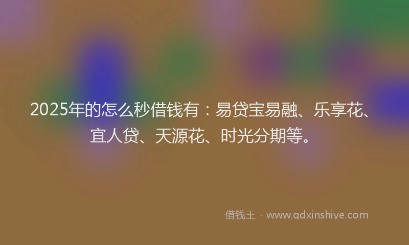 2025年的怎么秒借钱有：易贷宝易融、乐享花、宜人贷、天源花、时光分期等。