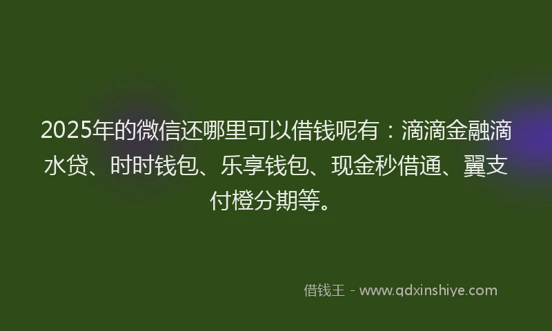 2025年的微信还哪里可以借钱呢有：滴滴金融滴水贷、时时钱包、乐享钱包、现金秒借通、翼支付橙分期等。