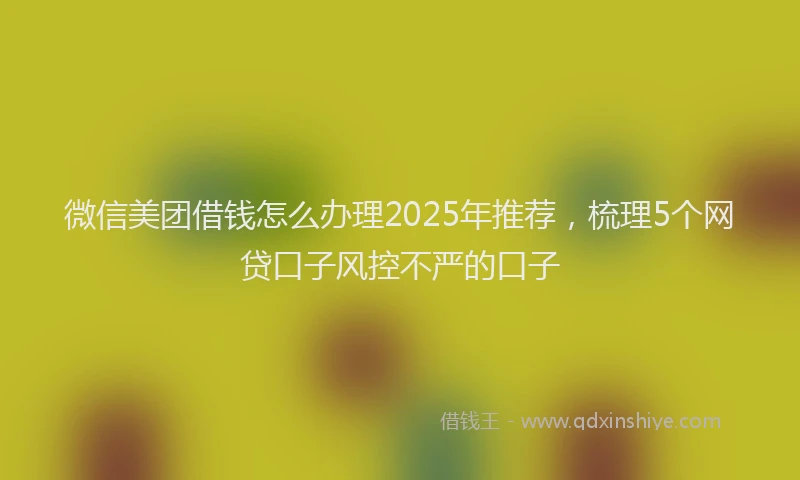 微信美团借钱怎么办理2025年推荐，梳理5个网贷口子风控不严的口子