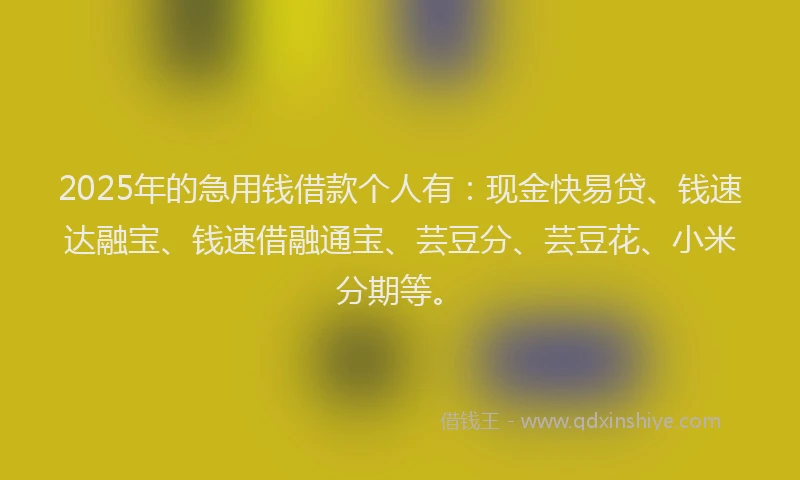 2025年的急用钱借款个人有：现金快易贷、钱速达融宝、钱速借融通宝、芸豆分、芸豆花、小米分期等。