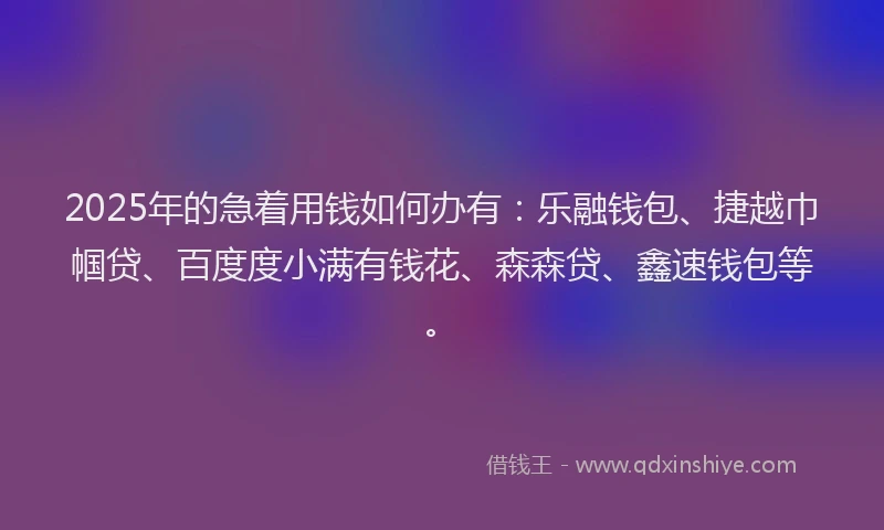 2025年的急着用钱如何办有：乐融钱包、捷越巾帼贷、百度度小满有钱花、森森贷、鑫速钱包等。