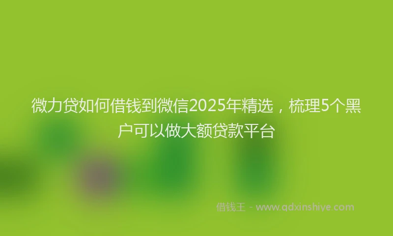 微力贷如何借钱到微信2025年精选，梳理5个黑户可以做大额贷款平台