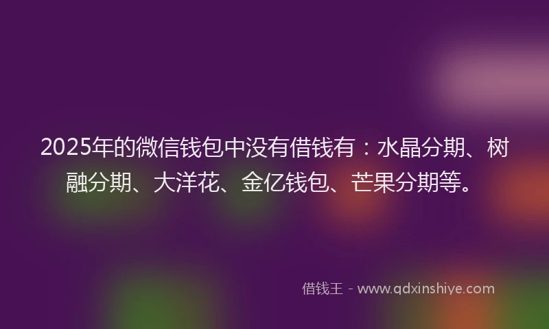 2025年的微信钱包中没有借钱有：水晶分期、树融分期、大洋花、金亿钱包、芒果分期等。