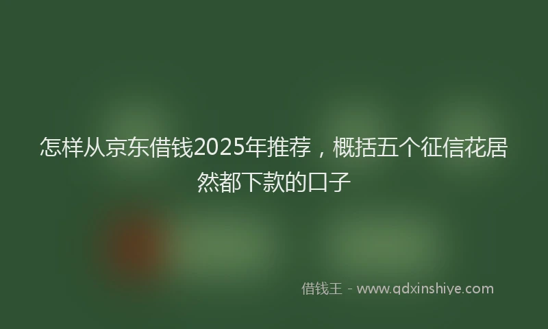 怎样从京东借钱2025年推荐，概括五个征信花居然都下款的口子