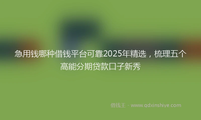 急用钱哪种借钱平台可靠2025年精选，梳理五个高能分期贷款口子新秀