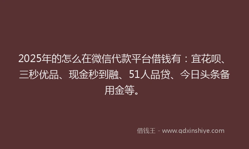 2025年的怎么在微信代款平台借钱有：宜花呗、三秒优品、现金秒到融、51人品贷、今日头条备用金等。