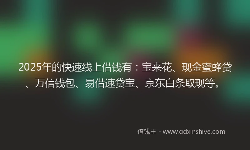 2025年的快速线上借钱有：宝来花、现金蜜蜂贷、万信钱包、易借速贷宝、京东白条取现等。