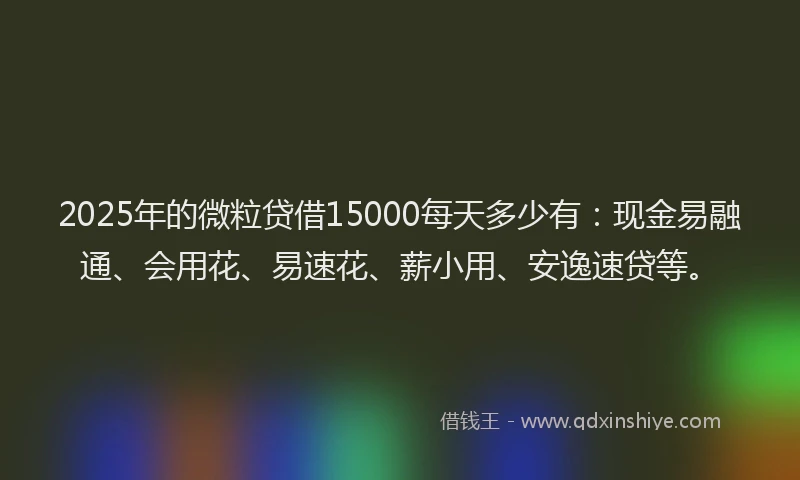 2025年的微粒贷借15000每天多少有：现金易融通、会用花、易速花、薪小用、安逸速贷等。