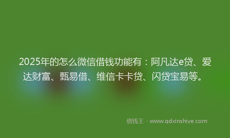 2025年的怎么微信借钱功能有：阿凡达e贷、爱达财富、甄易借、维信卡卡贷、闪贷宝易等。
