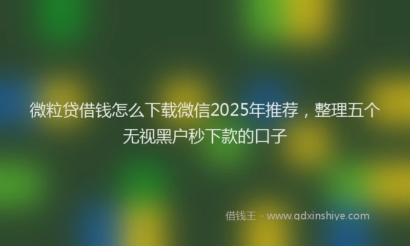 微粒贷借钱怎么下载微信2025年推荐，整理五个无视黑户秒下款的口子
