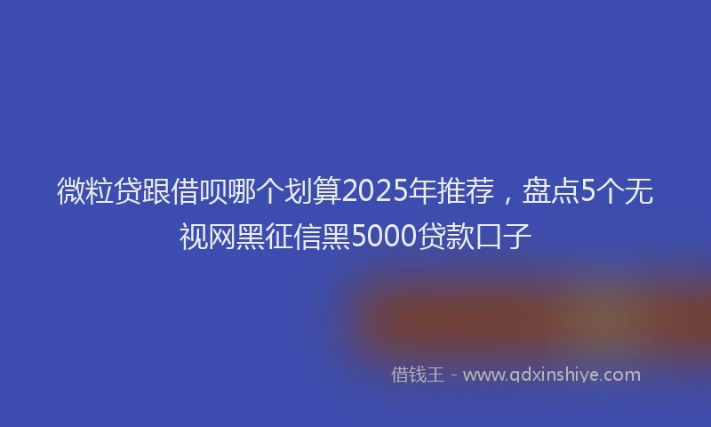 微粒贷跟借呗哪个划算2025年推荐，盘点5个无视网黑征信黑5000贷款口子