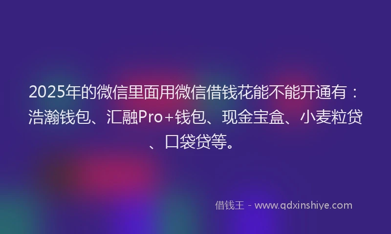 2025年的微信里面用微信借钱花能不能开通有：浩瀚钱包、汇融Pro+钱包、现金宝盒、小麦粒贷、口袋贷等。