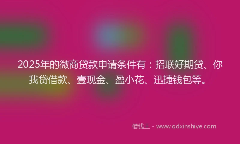 2025年的微商贷款申请条件有：招联好期贷、你我贷借款、壹现金、盈小花、迅捷钱包等。