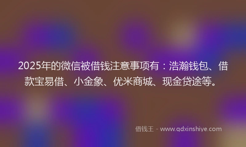 2025年的微信被借钱注意事项有：浩瀚钱包、借款宝易借、小金象、优米商城、现金贷途等。