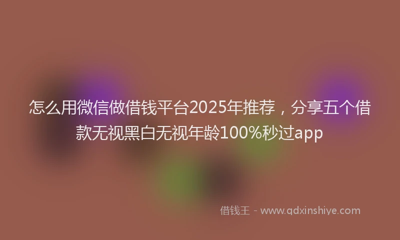 怎么用微信做借钱平台2025年推荐，分享五个借款无视黑白无视年龄100%秒过app