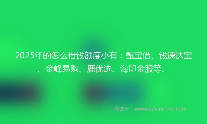 2025年的怎么借钱额度小有：甄宝借、钱速达宝、金峰易购、鹿优选、海印金服等。