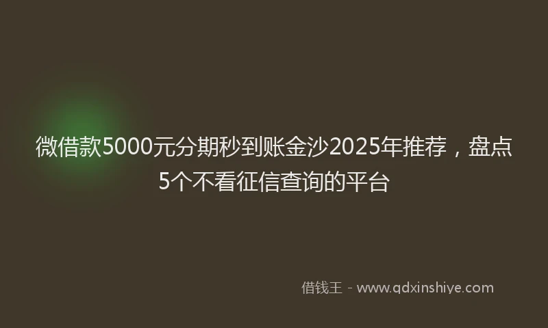微借款5000元分期秒到账金沙2025年推荐，盘点5个不看征信查询的平台