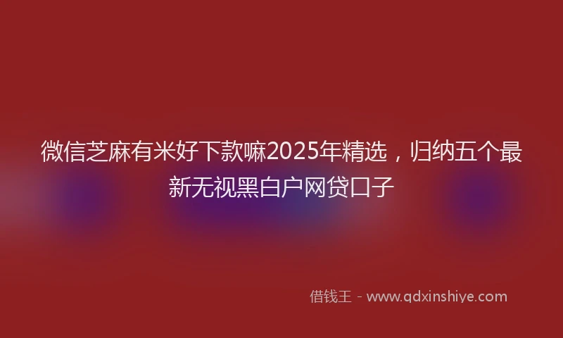 微信芝麻有米好下款嘛2025年精选，归纳五个最新无视黑白户网贷口子