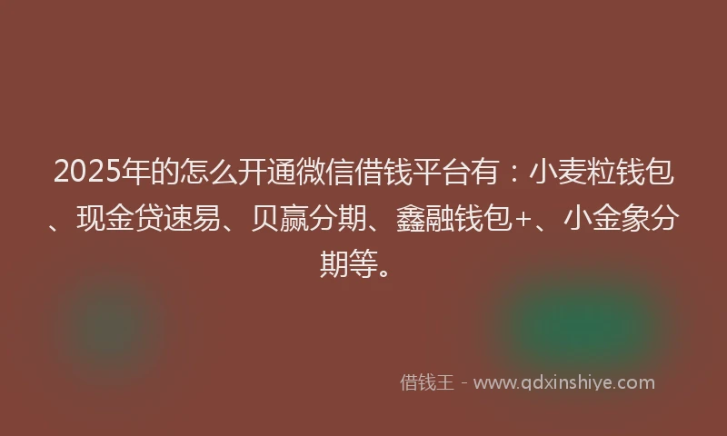 2025年的怎么开通微信借钱平台有:小麦粒钱包、现金贷速易、贝赢分期、鑫融钱包+、小金象分期等。
