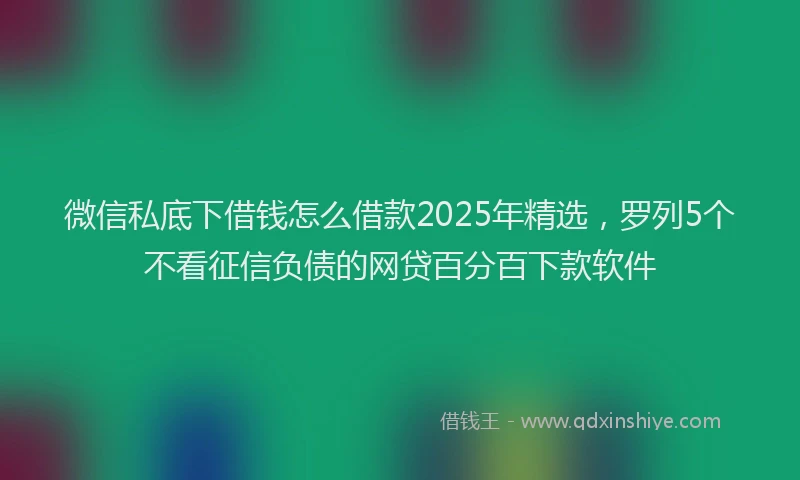 微信私底下借钱怎么借款2025年精选，罗列5个不看征信负债的网贷百分百下款软件