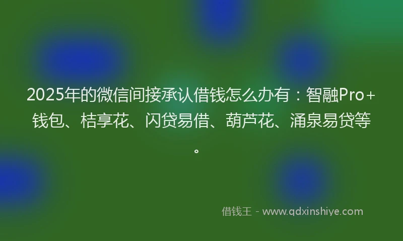 2025年的微信间接承认借钱怎么办有：智融Pro+钱包、桔享花、闪贷易借、葫芦花、涌泉易贷等。