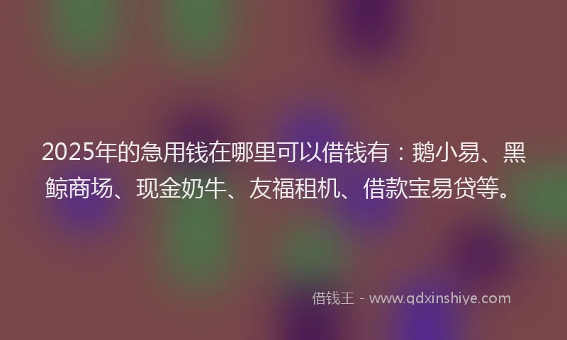 2025年的急用钱在哪里可以借钱有：鹅小易、黑鲸商场、现金奶牛、友福租机、借款宝易贷等。