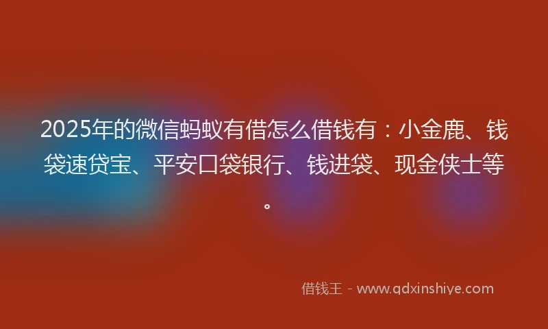 2025年的微信蚂蚁有借怎么借钱有：小金鹿、钱袋速贷宝、平安口袋银行、钱进袋、现金侠士等。