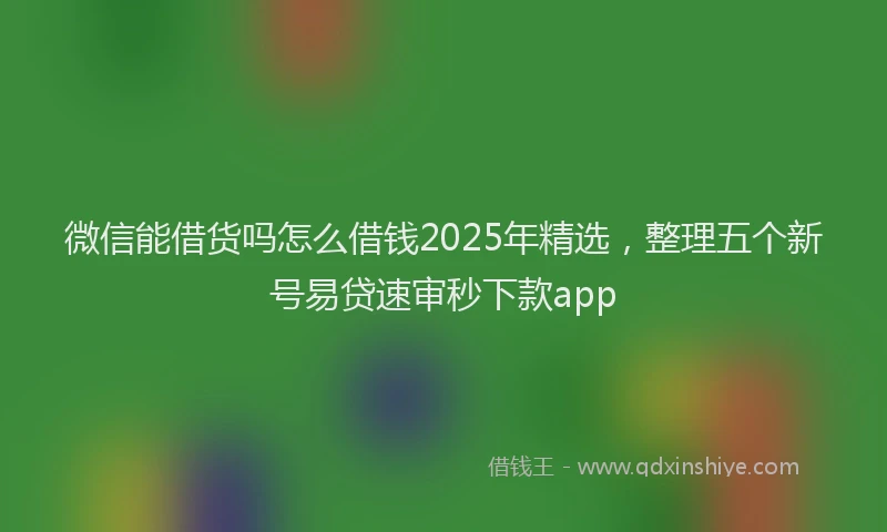 微信能借货吗怎么借钱2025年精选，整理五个新号易贷速审秒下款app