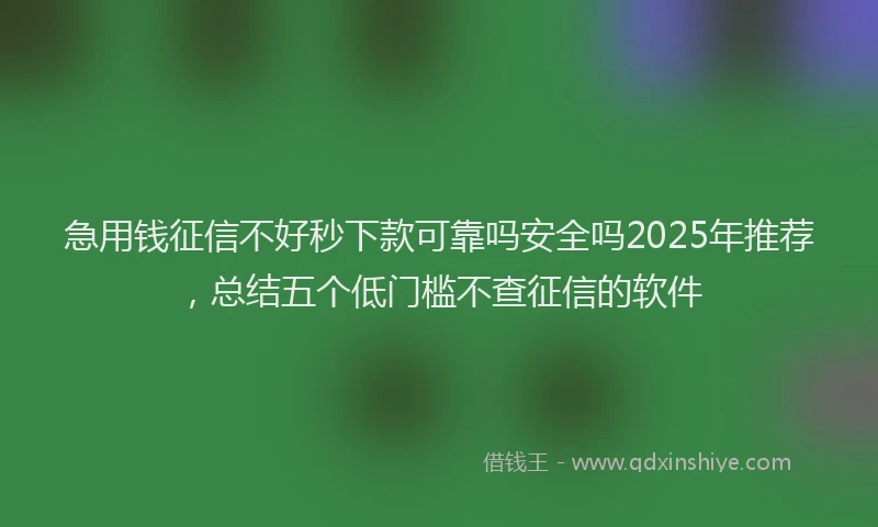 急用钱征信不好秒下款可靠吗安全吗2025年推荐，总结五个低门槛不查征信的软件